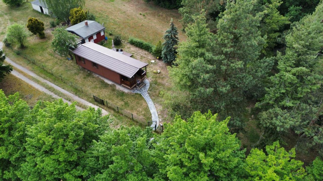 Tiny House Am Wald Leilighet Krina Eksteriør bilde