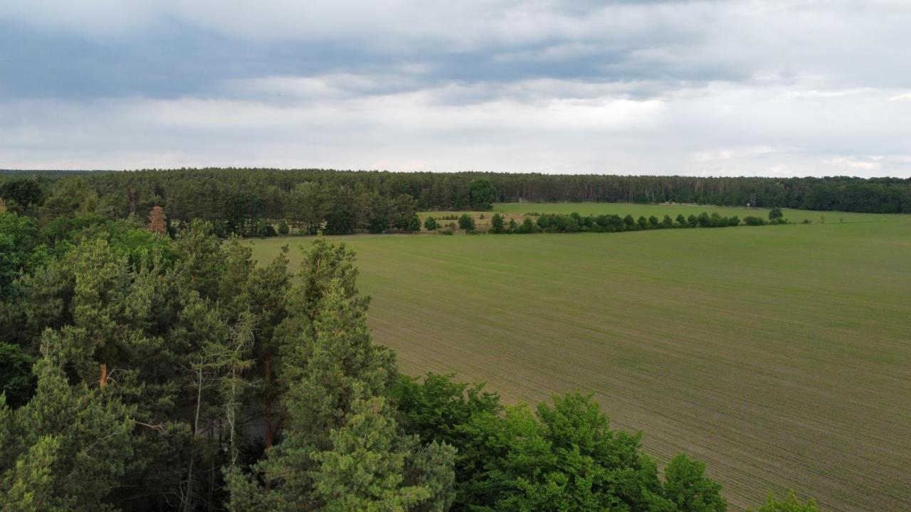 Tiny House Am Wald Leilighet Krina Eksteriør bilde